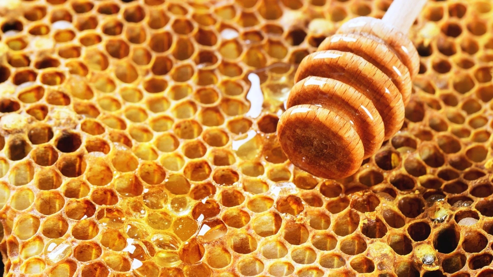 Anzer bali ile ketojenik3