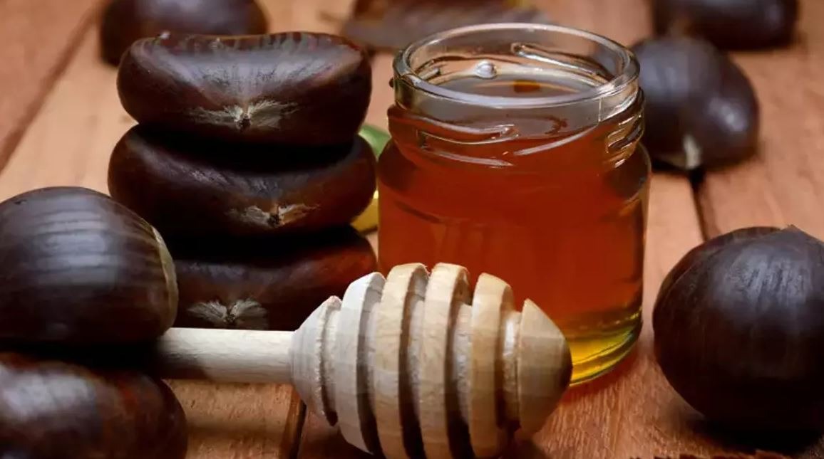 Kestane Balı Bağışıklığı Nasıl Güçlendirir? 1 Kestane Bali