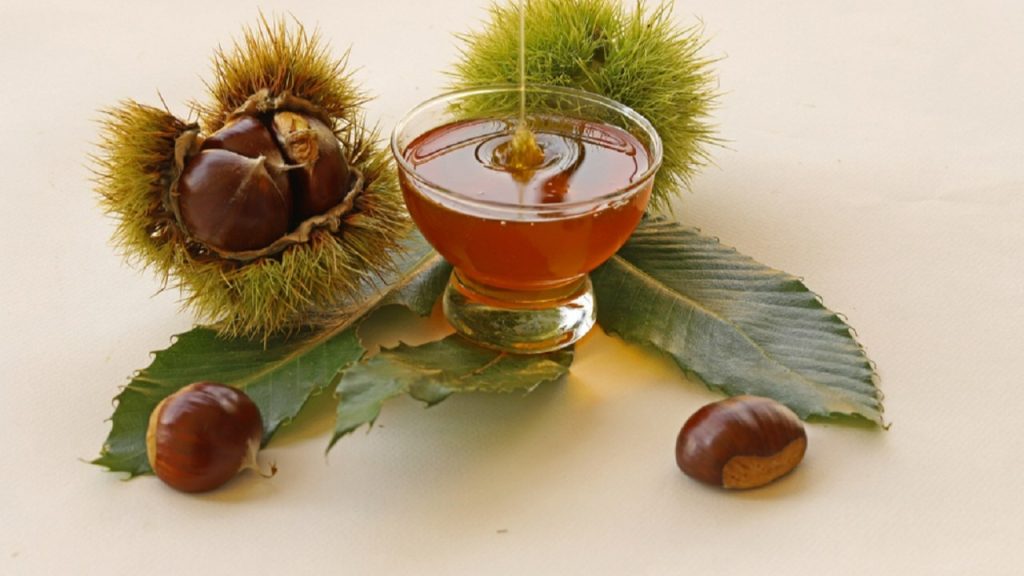 Kestane bali fermente2