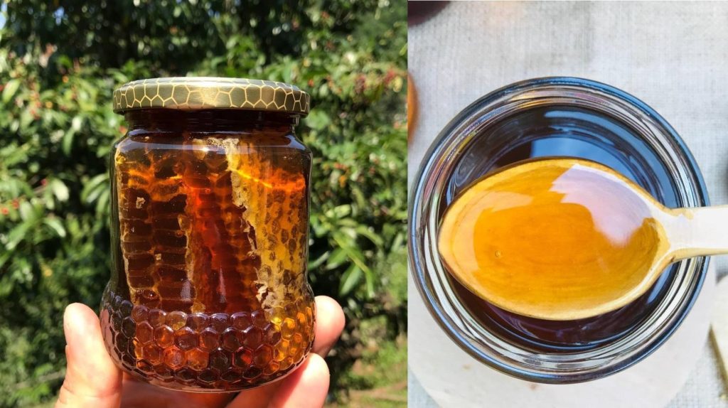 Kestane bali fermente3